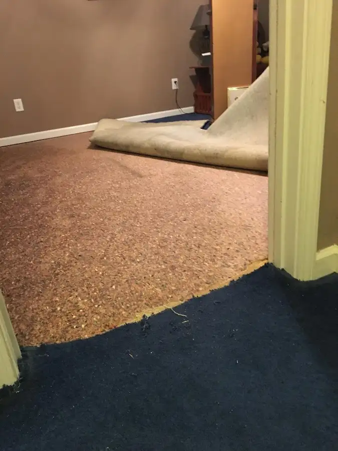 Carpet pad removal revealing water damage during Drying & Dehumidification in Osage Beach